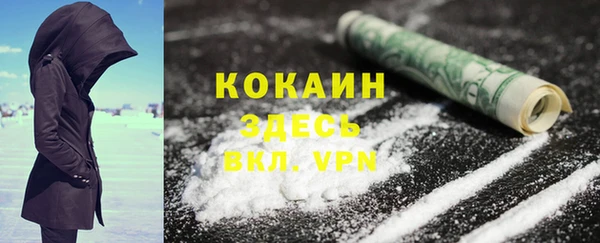 гидра Фёдоровский