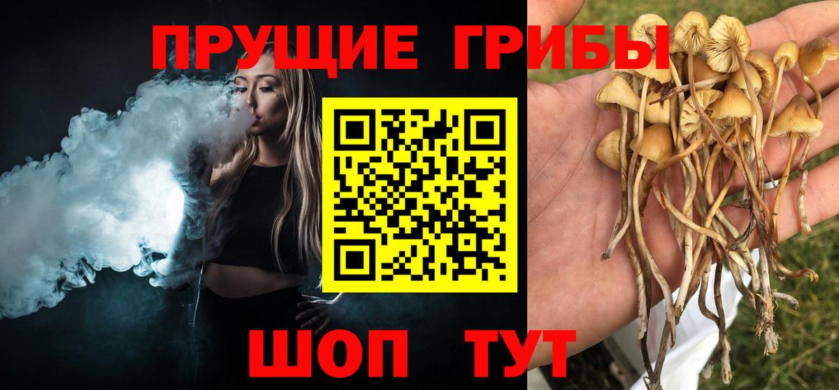 Галлюциногенные грибы мухоморы  как найти наркотики  Джанкой  Вход с VPN 