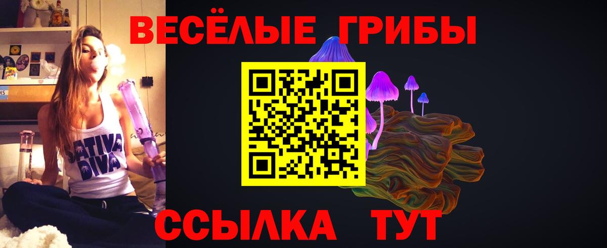 Псилоцибиновые грибы Cubensis Джанкой